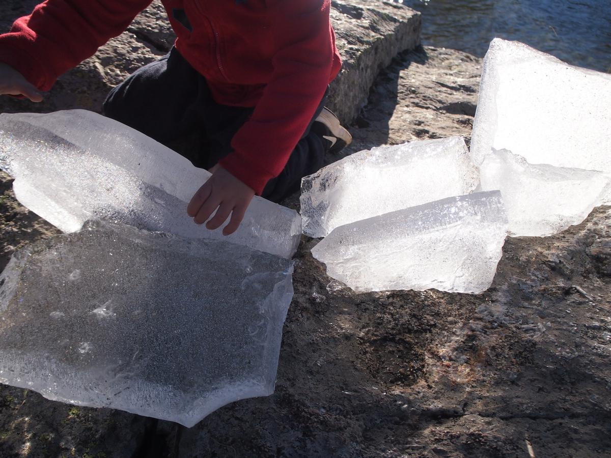 Jugando con los bloques de hielo