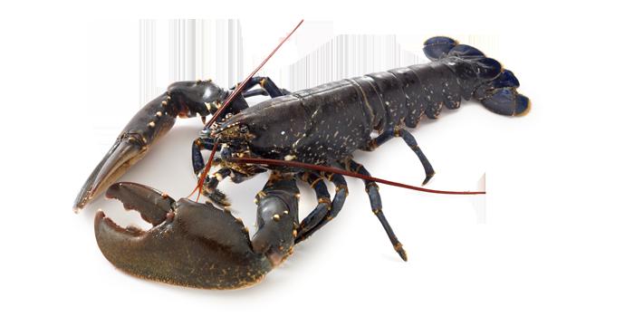 8a4396eb9e58ca1bc9c9af5252547dbe