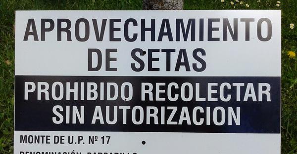 Participa en la nueva regulacion micológica dando tu opinión
