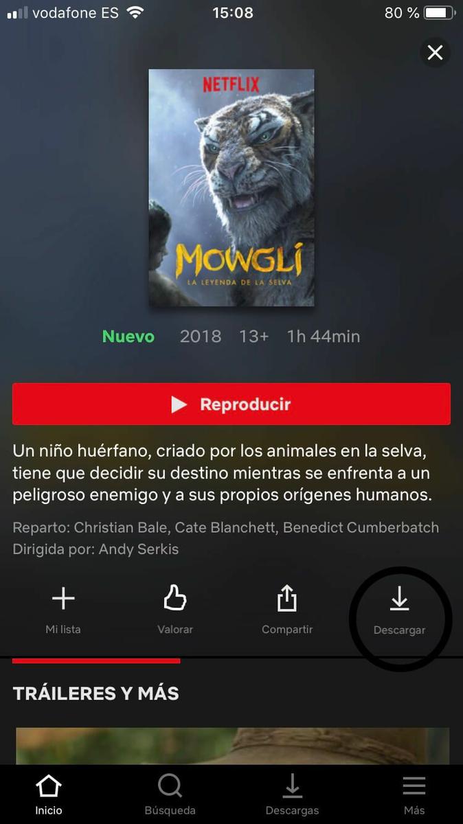 series para ver en netflix