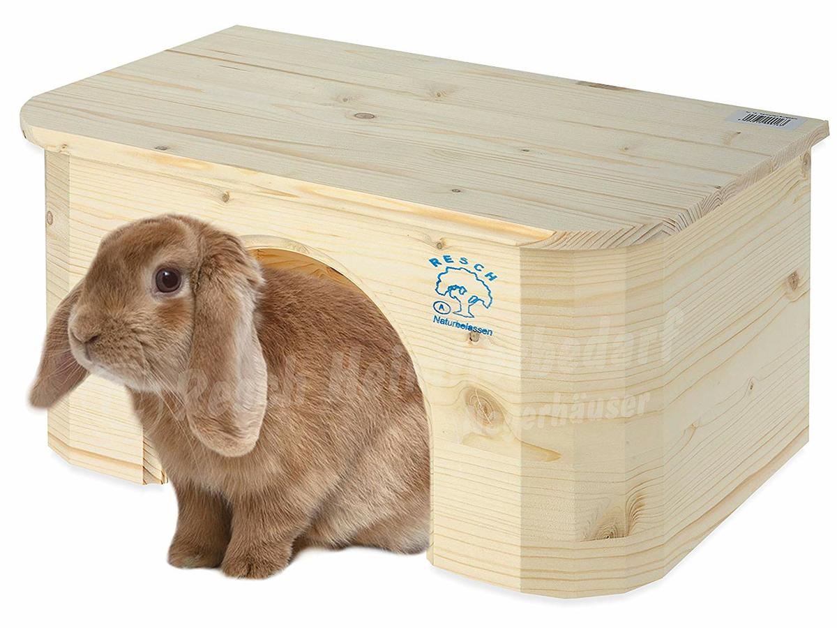 Los conejos pueden sentirse mejor en una casita