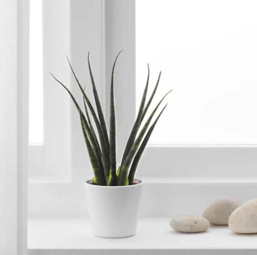 crear un despacho en casa