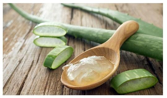 Beneficios del Aloe Vera