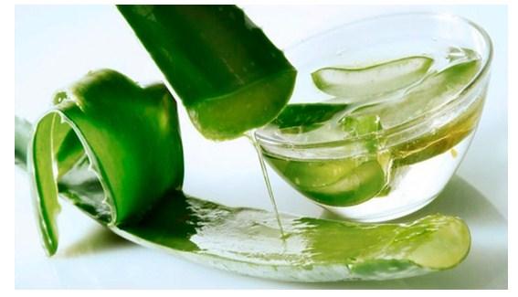 Consejos para rejuvener con Aloe Vera