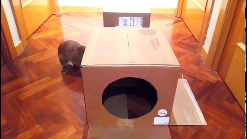 Castillo para conejos