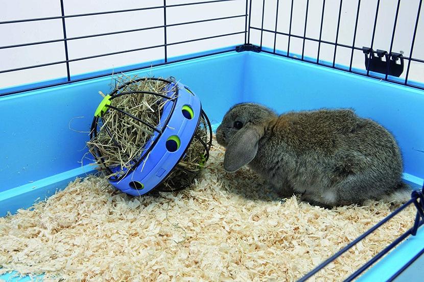 Bola de heno como juguete para conejo