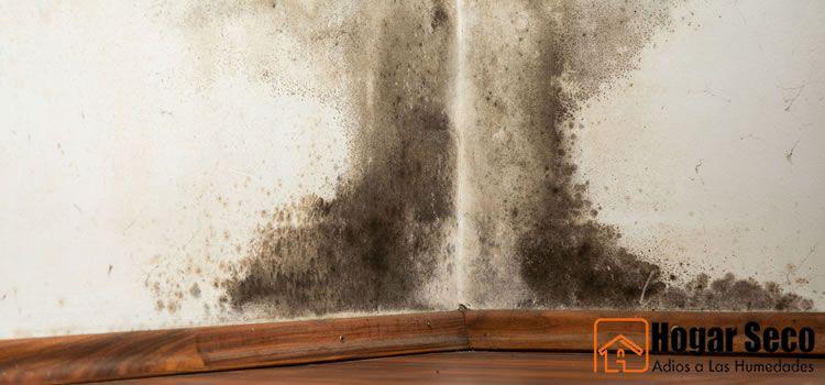 humedades en casa y salud