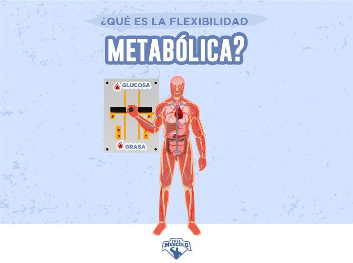 Flexibilidad Metabolica