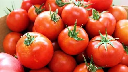 tomate para la ereccion masculina