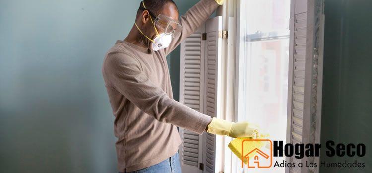 eliminar-moho
