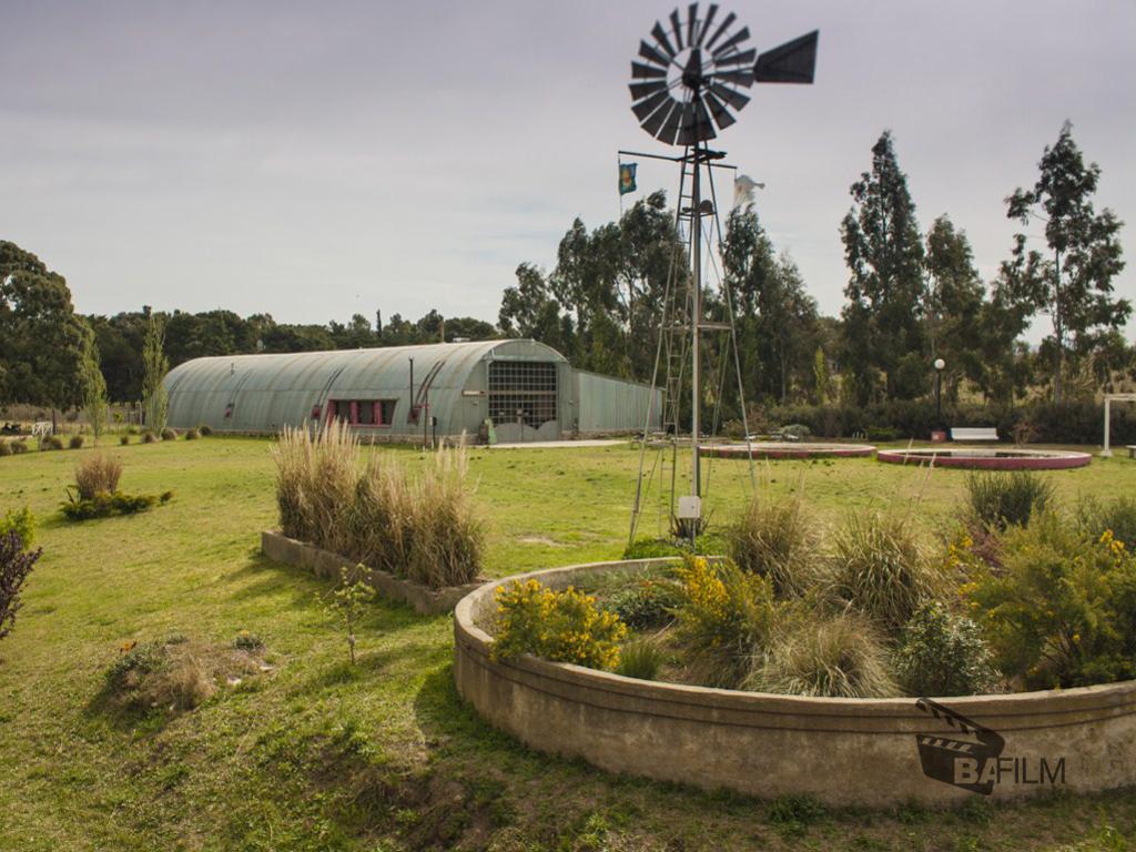 Tornquist-Saldungaray-Bodega-Saldungaray-5