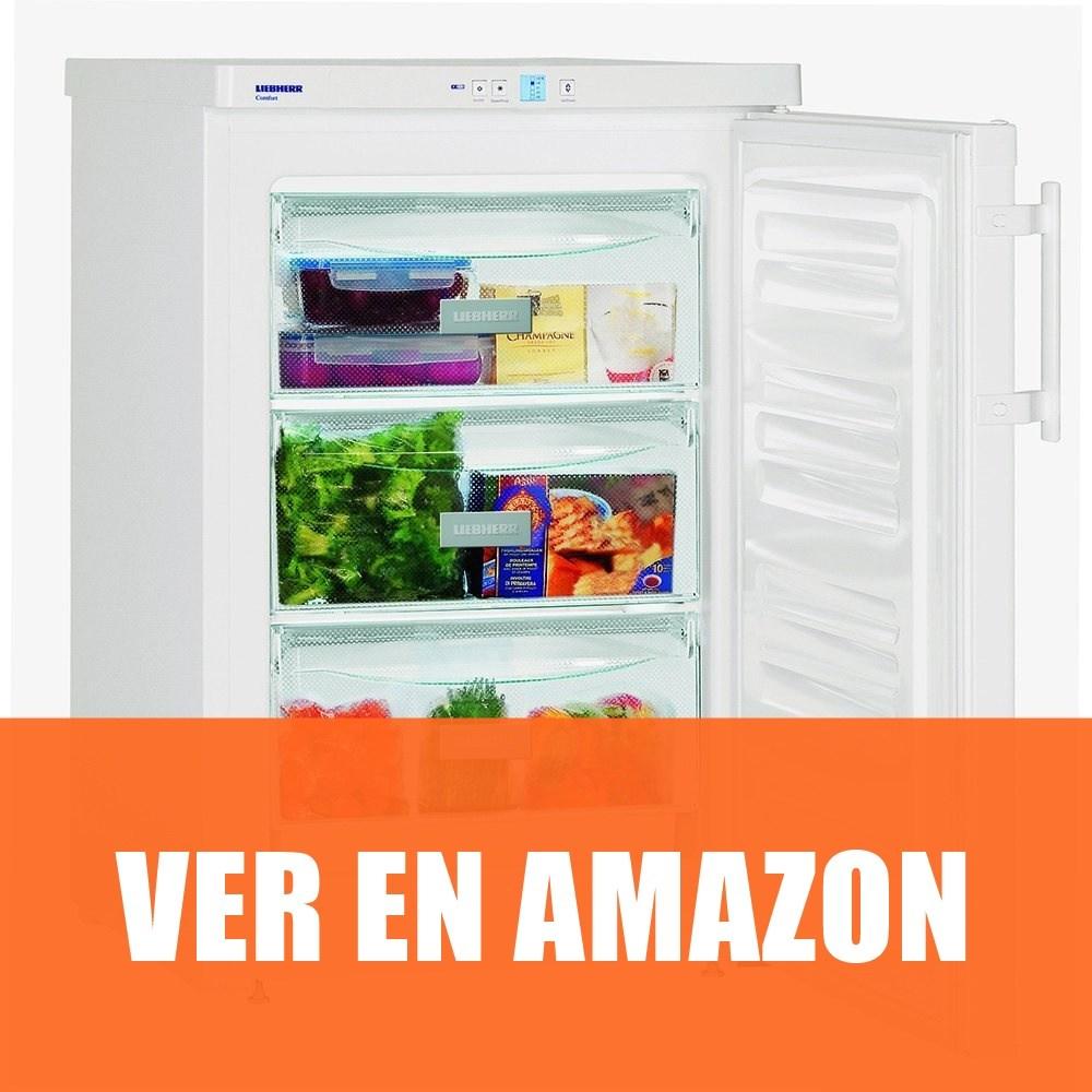 Liebherr G 1223 - Congelador Vertical