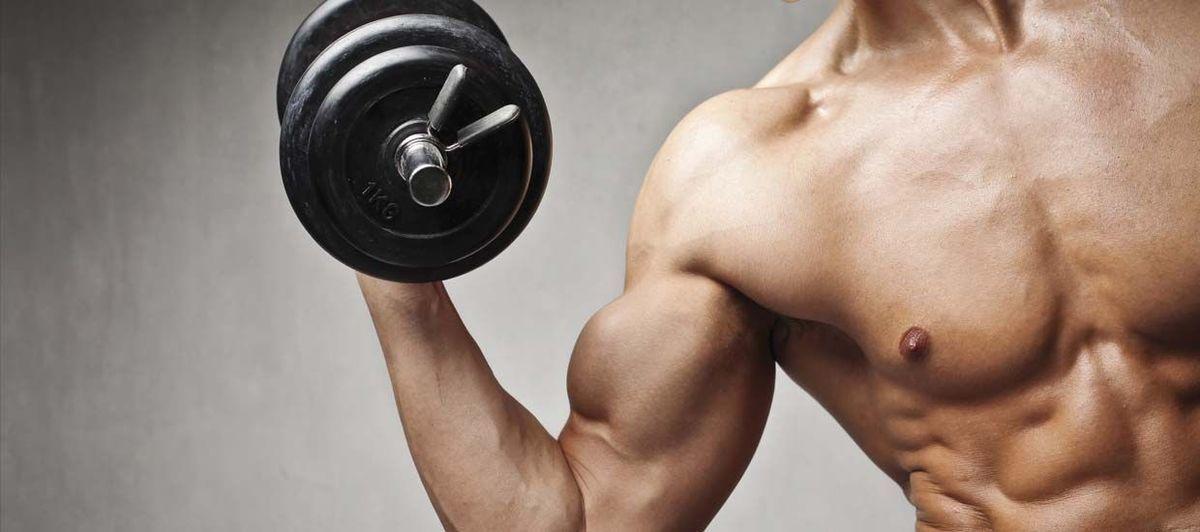 Mejores consejos para aumentar bíceps