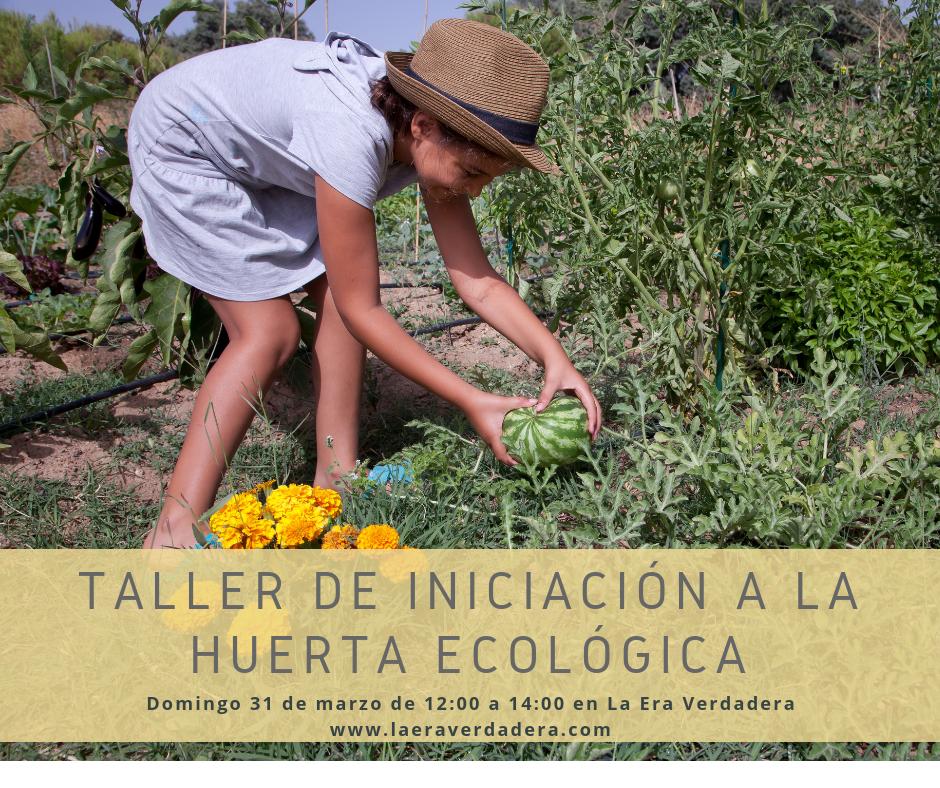 Taller de iniciación a la huerta ecológica