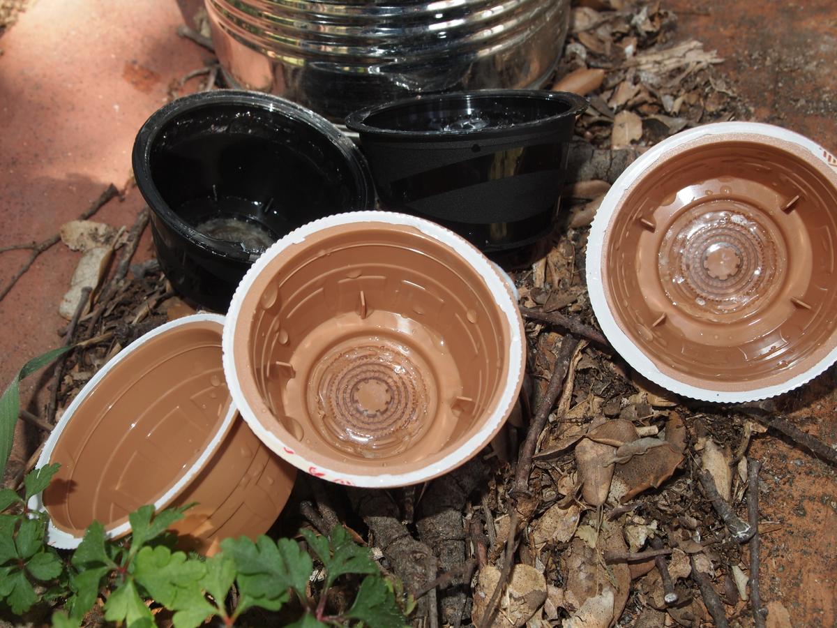 Semilleros con cápsulas de café