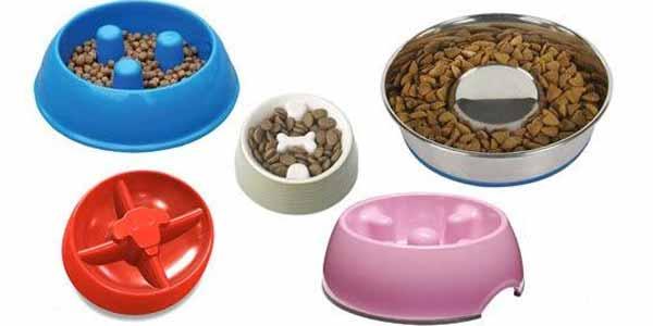 Platos para mascotas artículos