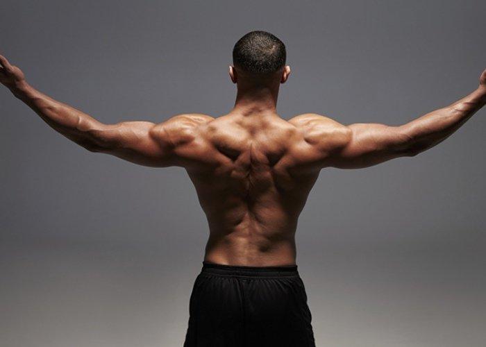 mis mejores consejos para aumentar la espalda