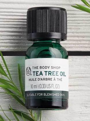 habitos-de-belleza-arbol-del-te