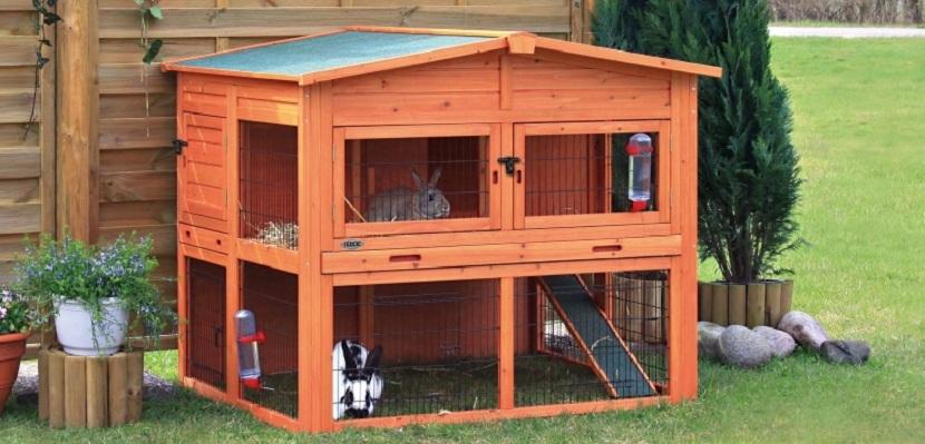 Que debe tener una conejera