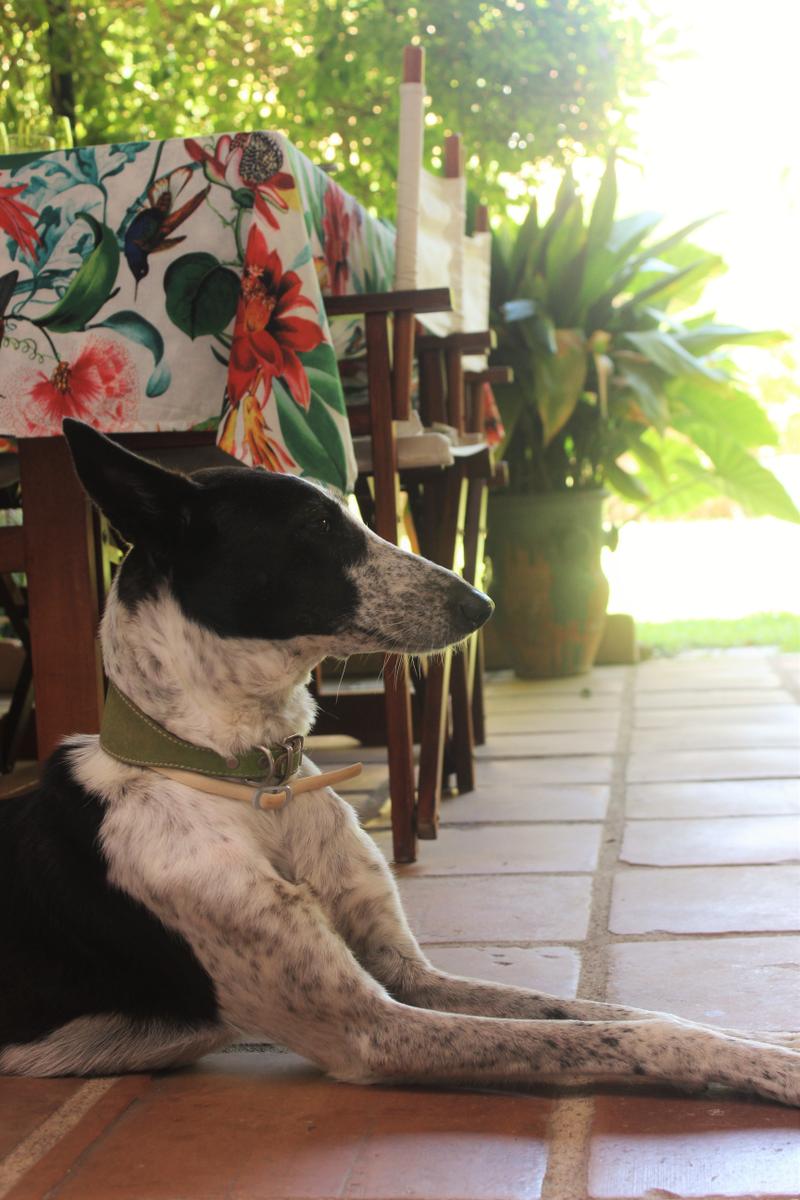 Decora tu mesa con Loft & Table