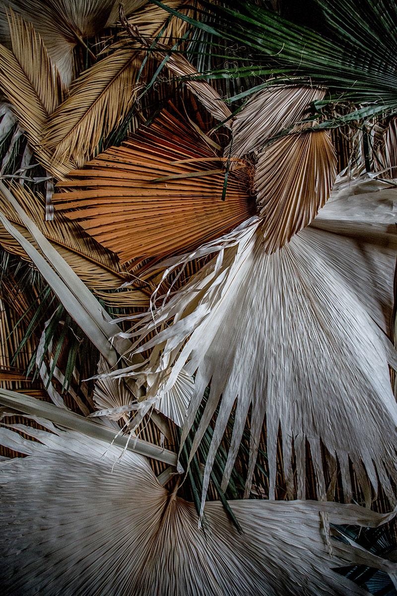 Hello-flowers-bcn-installation-MariaAlgaraPhotography