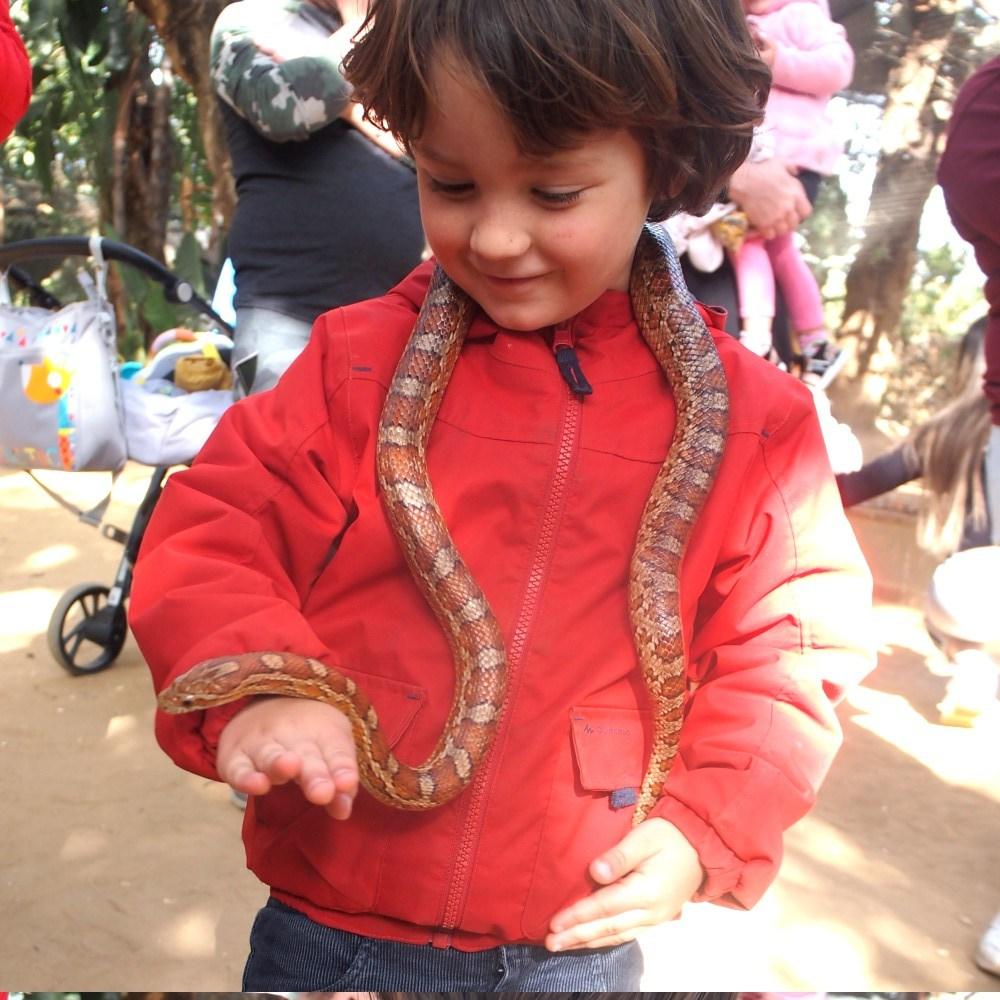 Niño con serpiente del maiz en el cuello y acariciandola