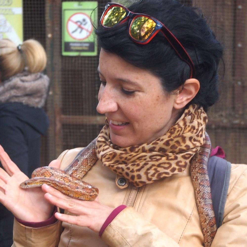 Acariciendo la serpiente del maiz