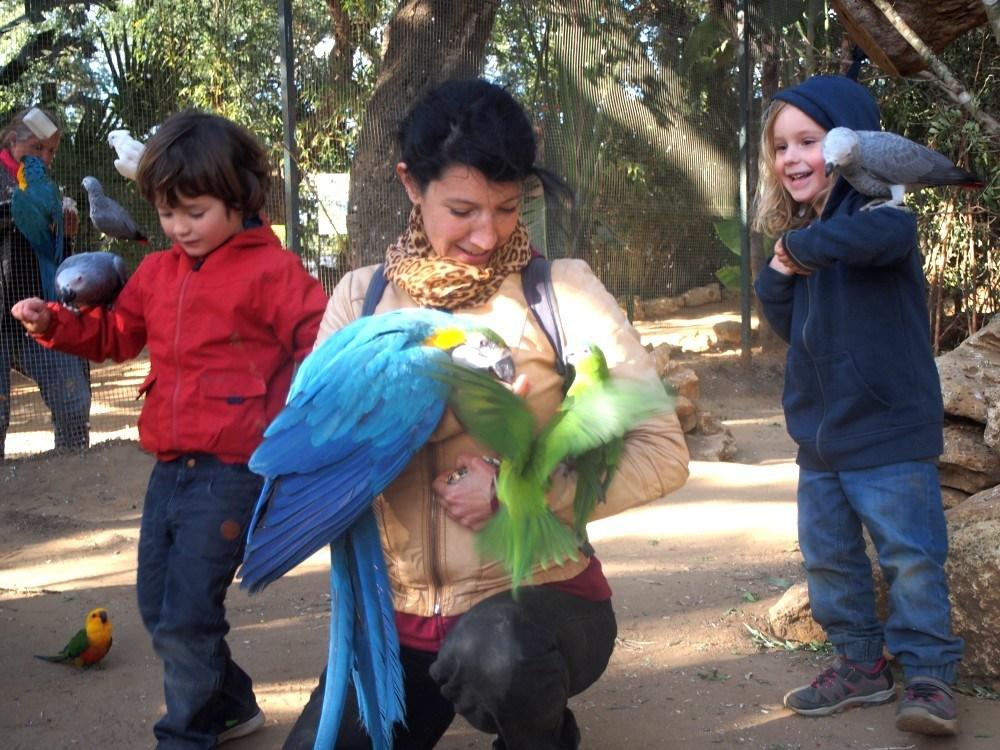 Todos disfrutando de los loros