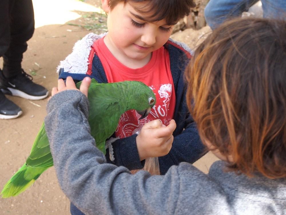 Niños acariciendo un loro verde