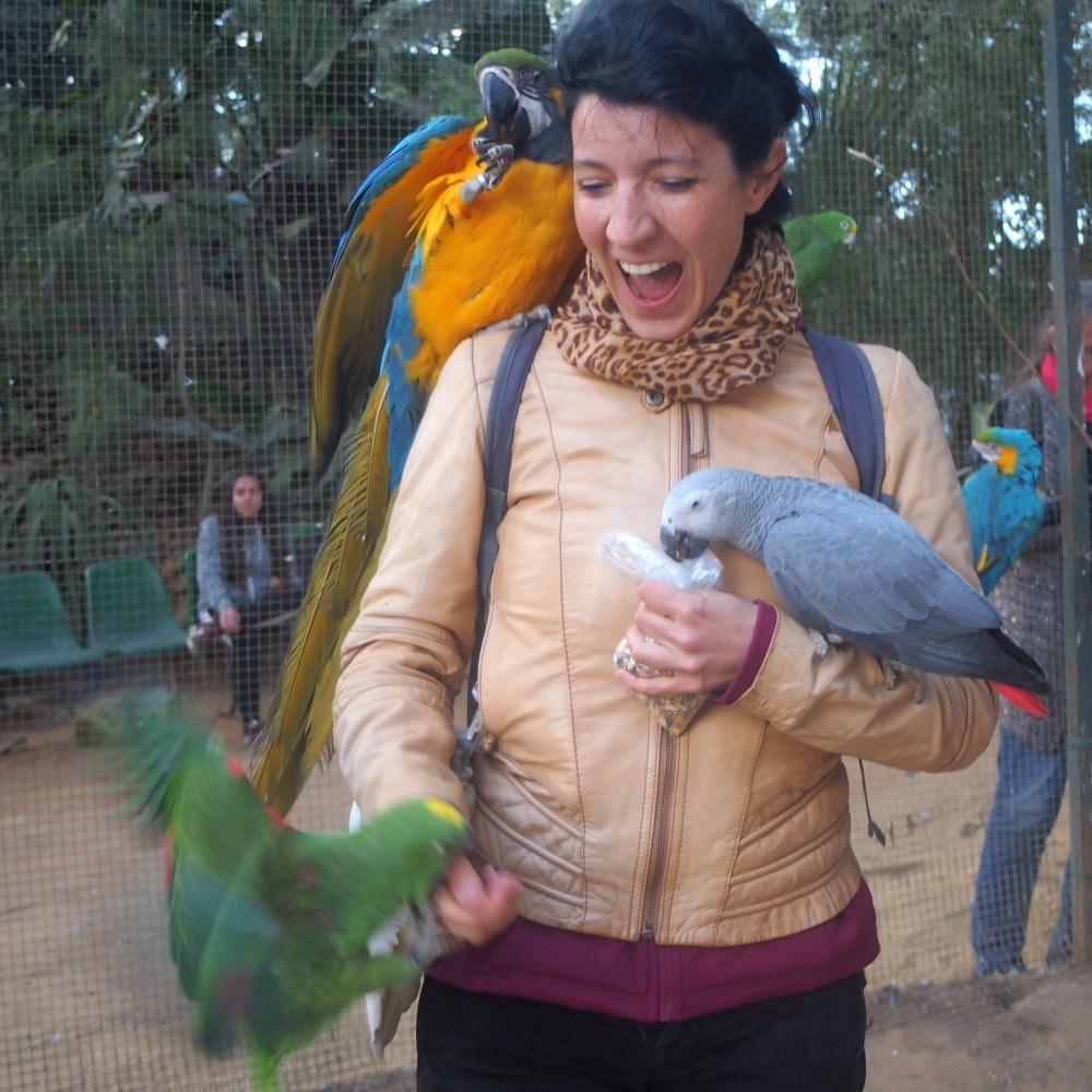 Loro pegandome un mordisco en la mano