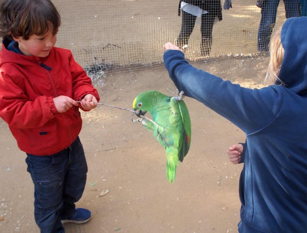 Jugando con un loro