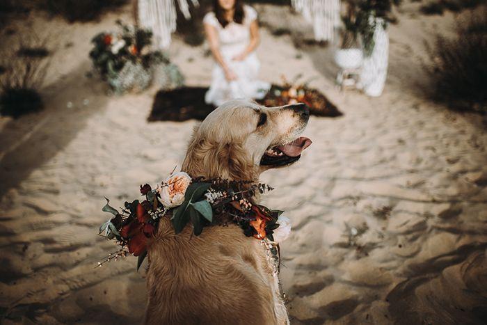 boda bohemia en la playa