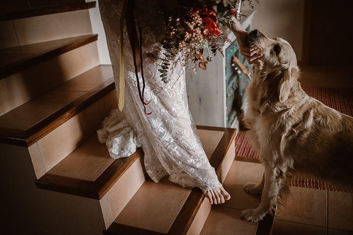 boda bohemia en la playa