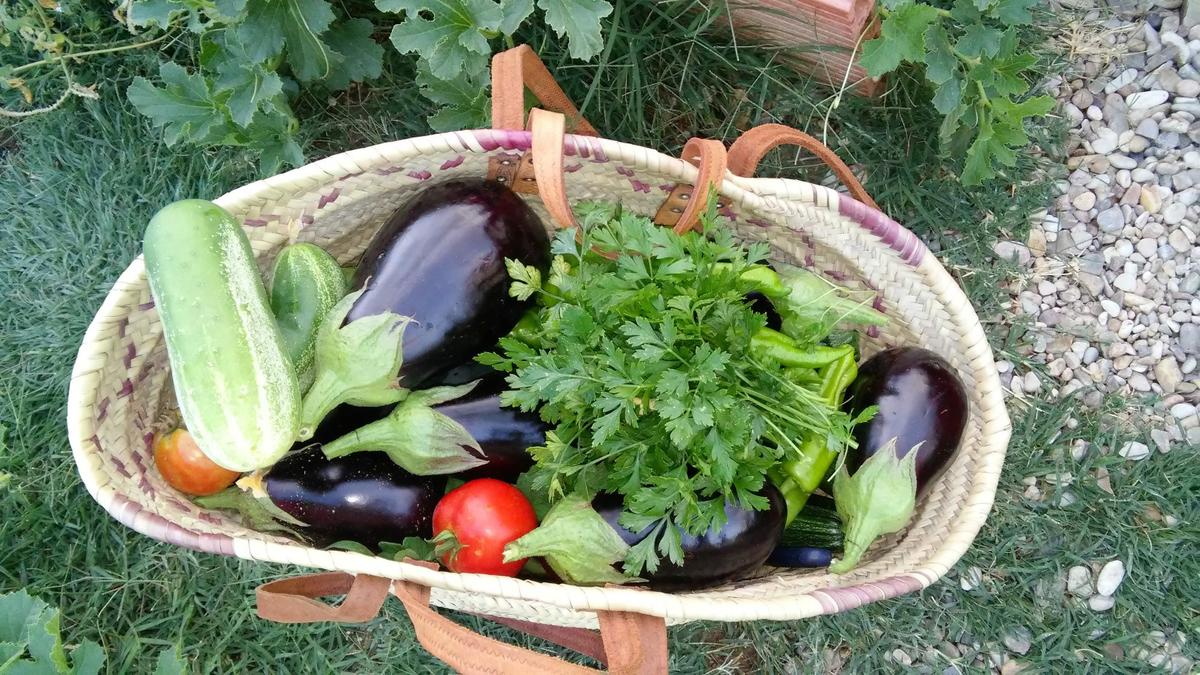 cesta de verduras - berenjenas
