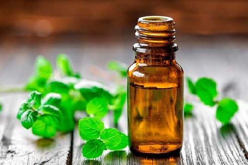 Como eliminar las moscas hierba