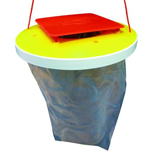 Como eliminar las moscas trampa