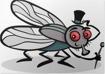 Como eliminar las moscas mosca