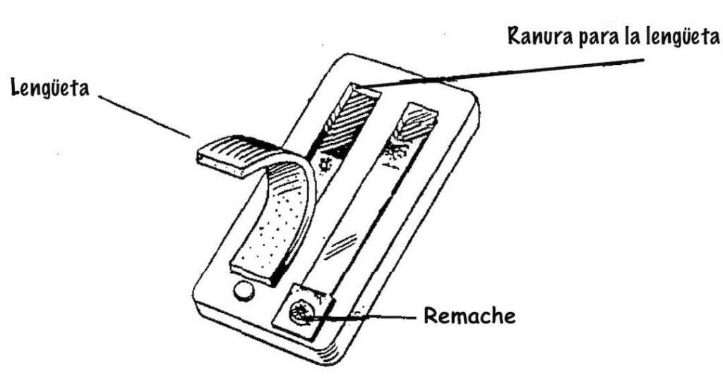 lengueta de la armónica