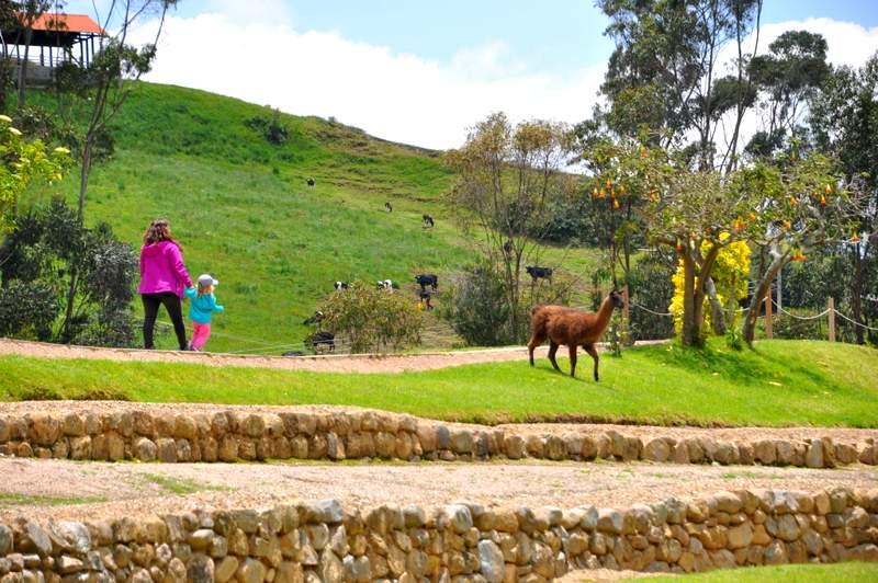 ingapirca viajes ecuador