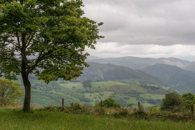 Tineo, Asturias (Spain)