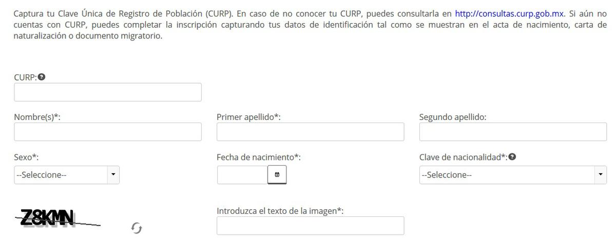 Datos a llenar para laInscripción en el RFC