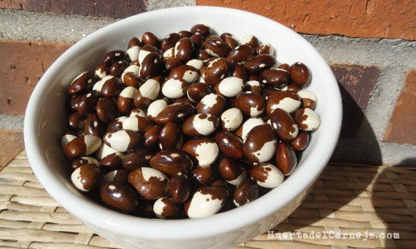 Caparrones de Piedrahita