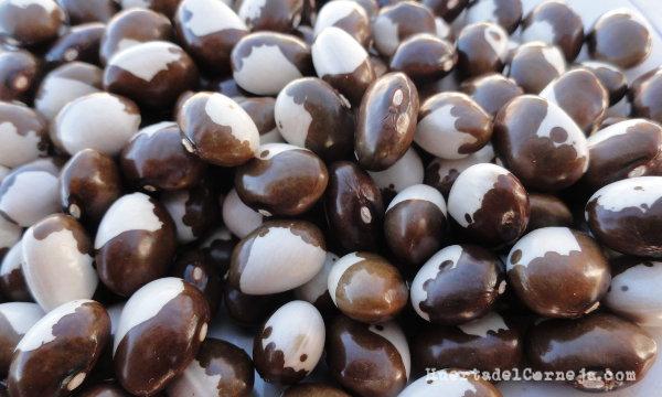 legumbres, pipos caretos