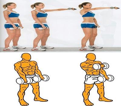 explicacion visual de como hacer las elevaciones frontales