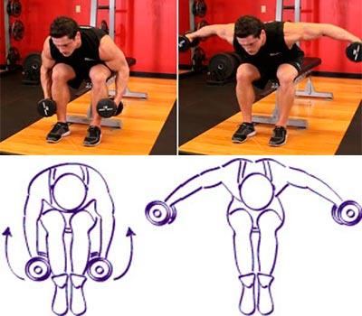 hombre arriba y figura abajo mostrando como se hacen los pajaros con mancuernas