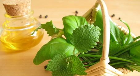 Aceite esencial de albahaca propiedades
