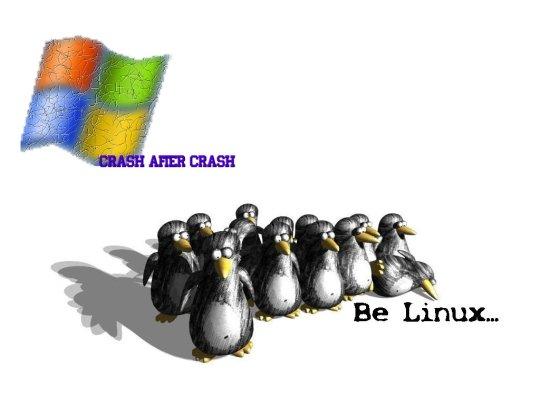 Excelentes pruebas de que a los usuarios de Linux no les gusta Windows (y tal vez Mac)