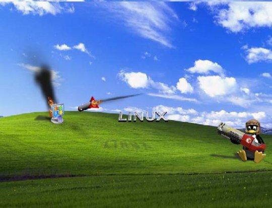 Excelentes pruebas de que a los usuarios de Linux no les gusta Windows (y tal vez Mac)