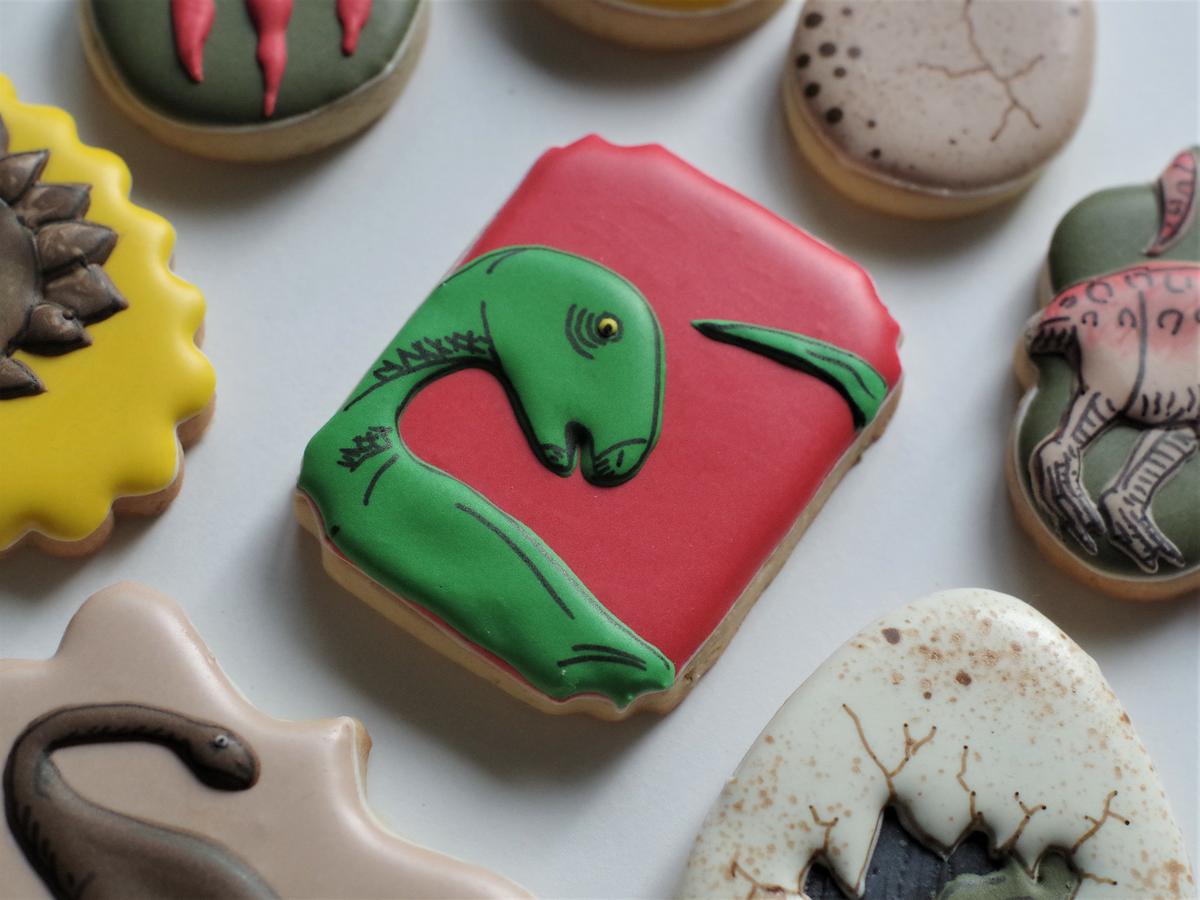 Doctorcookies dinosaur cookies (6)