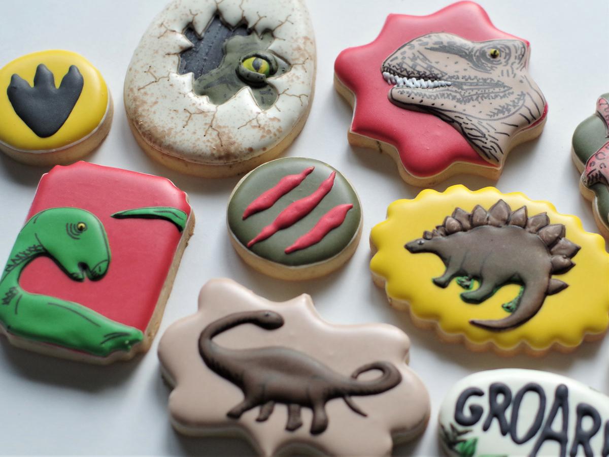 Doctorcookies dinosaur cookies (11)